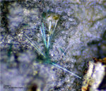 Griechenland Lavrion Mineralien Jean Baptiste Zálesíit