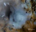 Griechenland Lavrion Mineralien Jean Baptiste Zálesíit