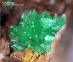 Griechenland Lavrion Mineralien KM3 Annabergit