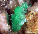 Griechenland Lavrion Mineralien KM3 Annabergit