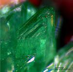 Griechenland Lavrion Mineralien KM3 Annabergit