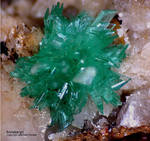 Griechenland Lavrion Mineralien KM3 Annabergit