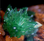 Griechenland Lavrion Mineralien KM3 Annabergit