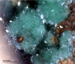 Griechenland Lavrion Mineralien KM3 Annabergit