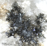 Griechenland Lavrion Mineralien Plaka Akanthit