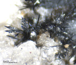 Griechenland Lavrion Mineralien Plaka Akanthit