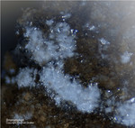 Griechenland Lavrion Mineralien Plaka Brianyoungit Bastenbergit