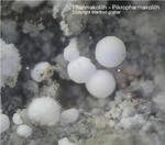 Griechenland Lavrion Mineralien Plaka Pharmokolith