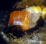 Griechenland Lavrion Mineralien Plaka Wulfenit