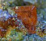 Griechenland Lavrion Mineralien Plaka Wulfenit