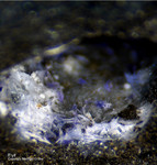 Harz Mineralien Glockenhütte Elyit