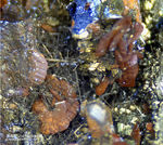 Harz Mineralien Oberschulenberg Glücksrad Siderit
