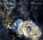 Harz Mineralien Juliushütte Astfeld Boleit