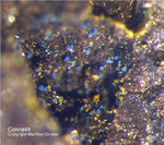 Harz Mineralien Juliushütte Astfeld Connellit