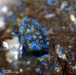 Harz Mineralien Juliushütte Astfeld Connellit