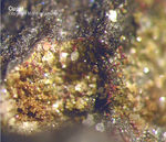 Harz Mineralien Fundstelle Juliushütte Astfeld Cuprit