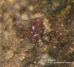 Harz Mineralien Fundstelle Juliushütte Astfeld Cuprit