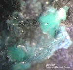 Harz Mineralien Juliushütte Astfeld Devillin