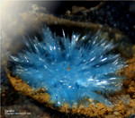 Harz Mineralien Juliushütte Astfeld Devillin