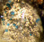 Harz Mineralien Juliushütte Astfeld Diaboleit