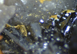 Mineralien Schweiz Lengenbach Auripiment