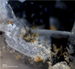 Mineralien Schweiz Lengenbach Baryt