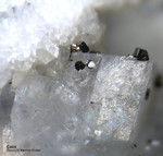 Mineralien Schweiz Lengenbach Calcit