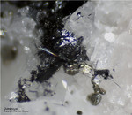 Mineralien Schweiz Lengenbach Dufrénoysit