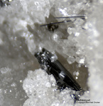 Mineralien Schweiz Lengenbach Dufrénoysit