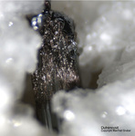 Mineralien Schweiz Lengenbach Dufrénoysit