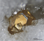 Mineralien Schweiz Lengenbach Gorceixit