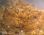 Pyroxen