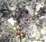 Asphaltit