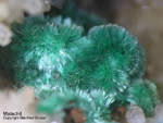 Malachit