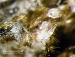 Barytolamprophyllit