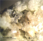 Ferrocolumbit