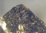 Aktinolith