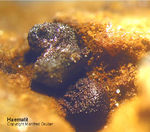 Haematit
