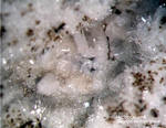 Hydrocalumit